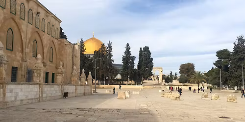 \u0420\u044b\u0446\u0430\u0440\u0441\u043a\u0430\u044f \u043f\u0440\u043e\u0433\u0443\u043b\u043a\u0430 "\u0422\u0430\u043c\u043f\u043b\u0438\u0435\u0440\u044b \u043d\u0430 \u0425\u0440\u0430\u043c\u043e\u0432\u043e\u0439 \u0413\u043e\u0440\u0435"