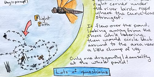 Nature Journaling Meetup