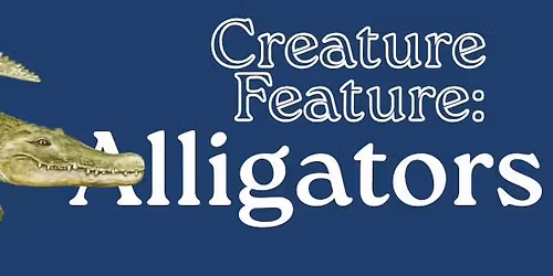 Creature Feature: Alligators