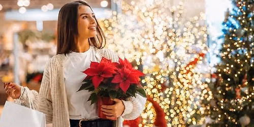 Christmas Preview Evening 