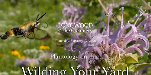 Plantology on Tap: Wilding Your Yard