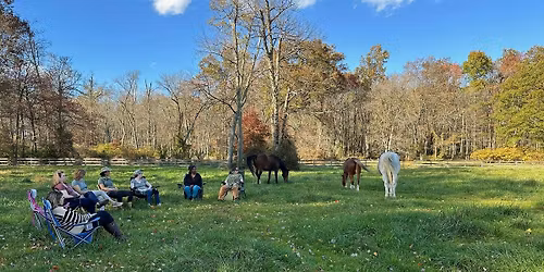 One-Day Retreat with Horses  | Finding Your Forward
