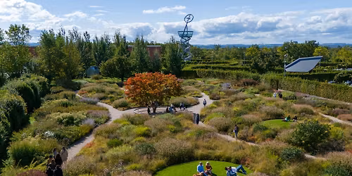 Vitra Campus Fall Festival & Opening Doshi Retreat