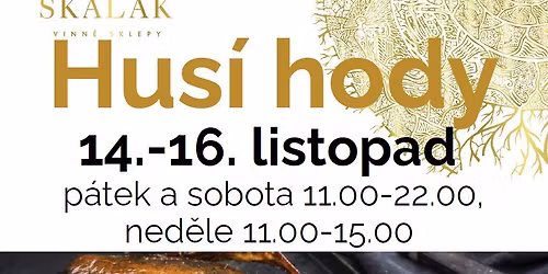 Hus\u00ed hody na Skal\u00e1ku