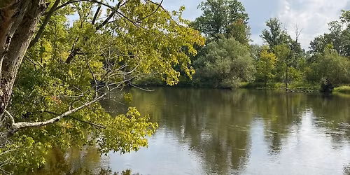 Life in the Kalamazoo River 