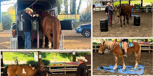 Pathway to Partnership-Feilding