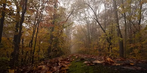 Beginners Photography Class - Clarksville