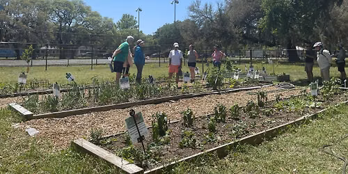 Common Ground Community Garden