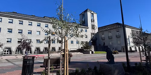 \u00c5pent m\u00f8te om vindkraft i Elverum