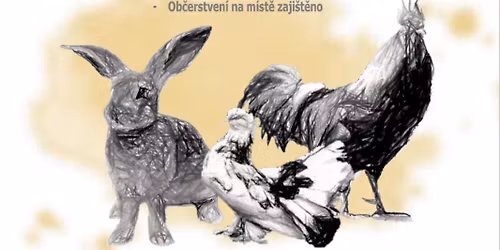 okresn\u00ed v\u00fdstava drobn\u00e9ho zv\u00ed\u0159ectva 