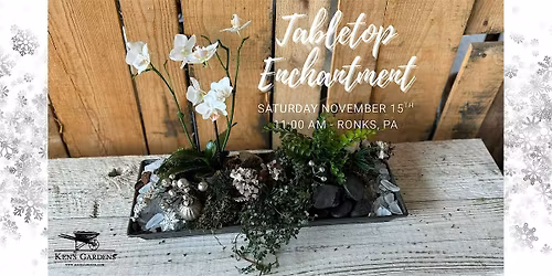 Tabletop Enchantment (Ronks)