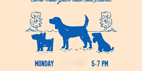 YAPPY HOUR: Foster Dog Meet & Greet
