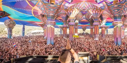 Ace Ventura in Nukutawhiti