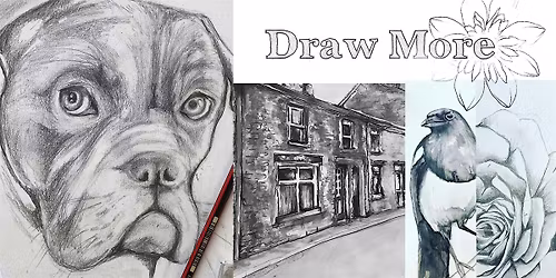 Draw More - HULL- STILL LIFE