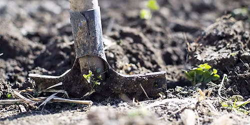 Boosting Biodiversity in your Garden