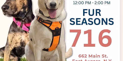 Adoption Event \ud83c\udf38