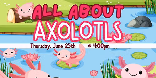 All About Axolotls!