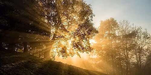 Navigating Grief: Healing, Connection, and Understanding