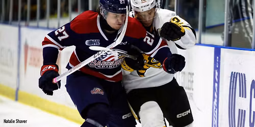 Saginaw Spirit vs. Sarnia Sting