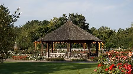 Salsa-Picknick im Botanischen Garten Augsburg