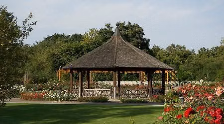 Salsa-Picknick im Botanischen Garten Augsburg