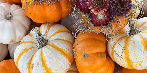 Dried Flower Pumpkin Workshop