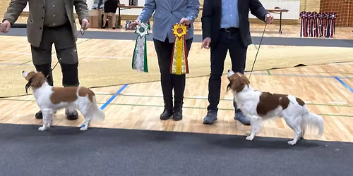 Dobbelt udstilling for Hollandske Hunderacer 2026