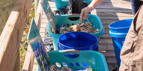 Cleanup at Paradise Beach 