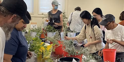 Seed and Cutting Exchange + Plant Sale Pickup