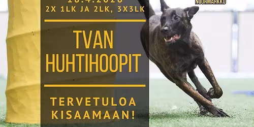 TVAn Huhtihoopit