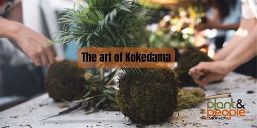 The art of Kokedama