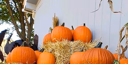 Annual Inlet Valley Jack-O-Lantern Night @ Grayhaven Motel