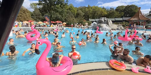 Flamigos Pool Party 