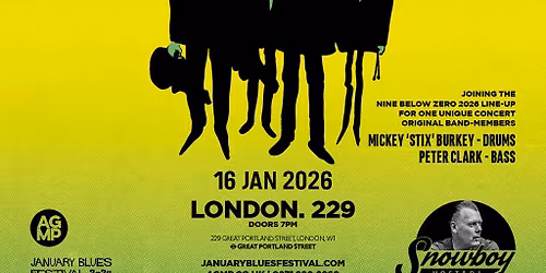 January Blues Festival: NINE BELOW ZERO