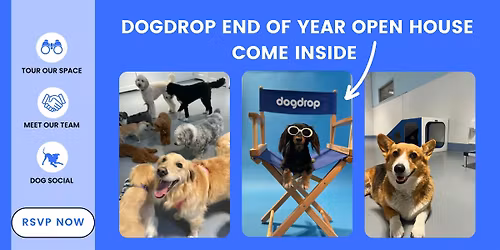 End of Year Open House at Dogdrop