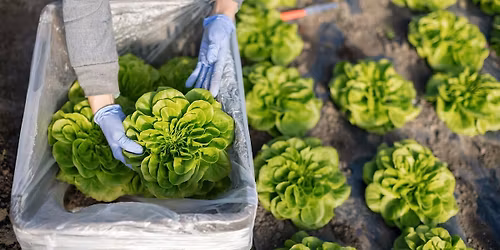 Produce Safety Alliance Grower Training