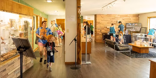 Free Unguided Experience