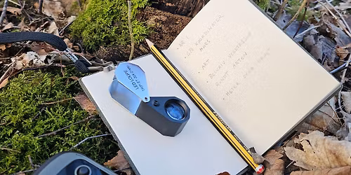 Kartlegging p\u00e5 Forus med j\u00e6rsoppen