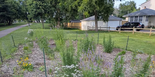 Tend Plantings - Maryland \/ Md South