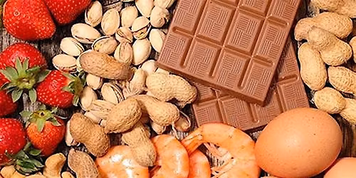 19th Food Allergy Study Day 2026