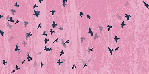 Sradicati \u2013 Entwurzelte\/r