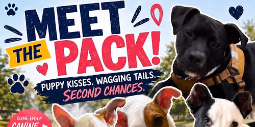Meet the Pack