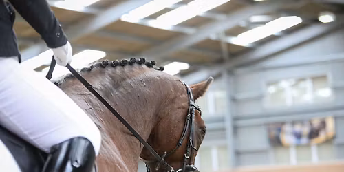 HAPPA's Unaffiliated Dressage