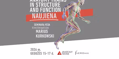 Anatomy Trains In Structure and Function