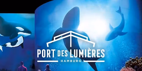 Wunderwelt Ozean - Ein immersiver Tauchgang