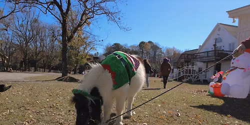Horses and Hot Cocoa