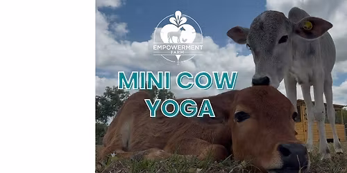 Mini Cow Yoga at Empowerment Farm