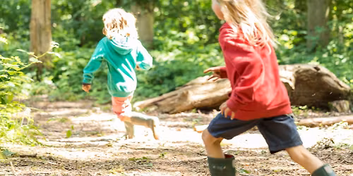 Survival Adventure for Children and their adult - 3hours