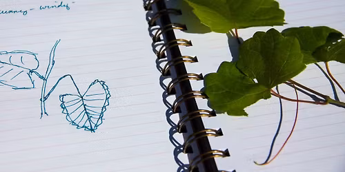 Nature Journaling for Adults at Isle a la Cache