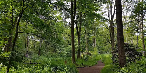 Guided Walk: Discover the Hidden Histories of Moorlands